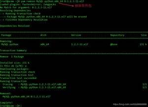 高效便捷 在Linux系統中使用Yum安裝軟件與服務的完整指南