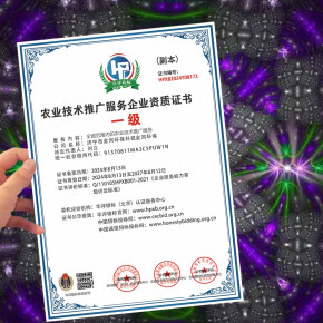 正規(guī)農(nóng)業(yè)技術(shù)推廣服務(wù)企業(yè)資質(zhì)證書(shū)與軟件服務(wù)辦理指南